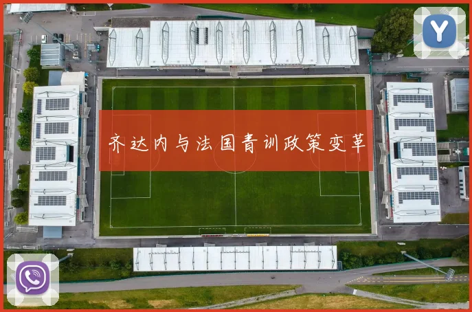 齐达内与法国青训政策变革