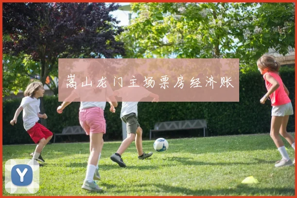 嵩山龙门主场票房经济账