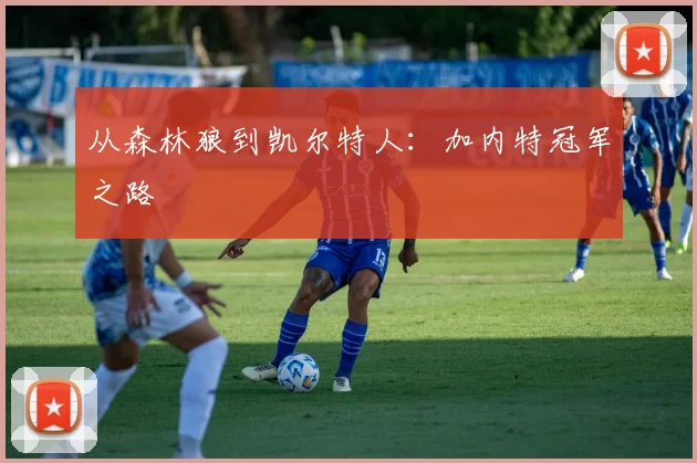 从森林狼到凯尔特人：加内特冠军之路