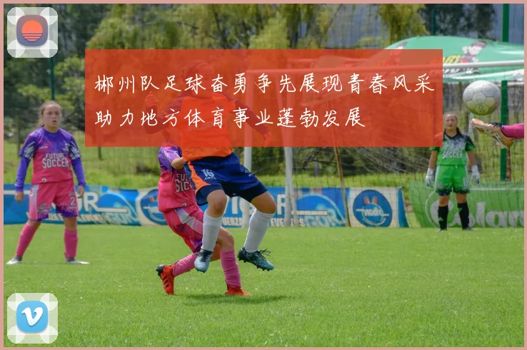 郴州队足球奋勇争先展现青春风采助力地方体育事业蓬勃发展