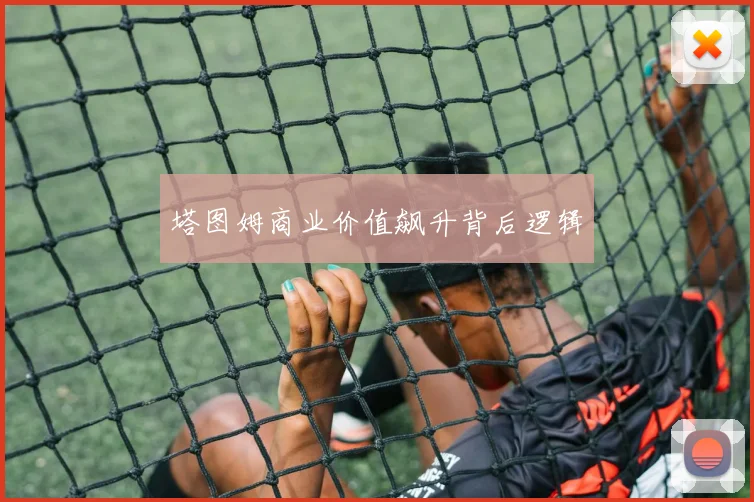 塔图姆商业价值飙升背后逻辑