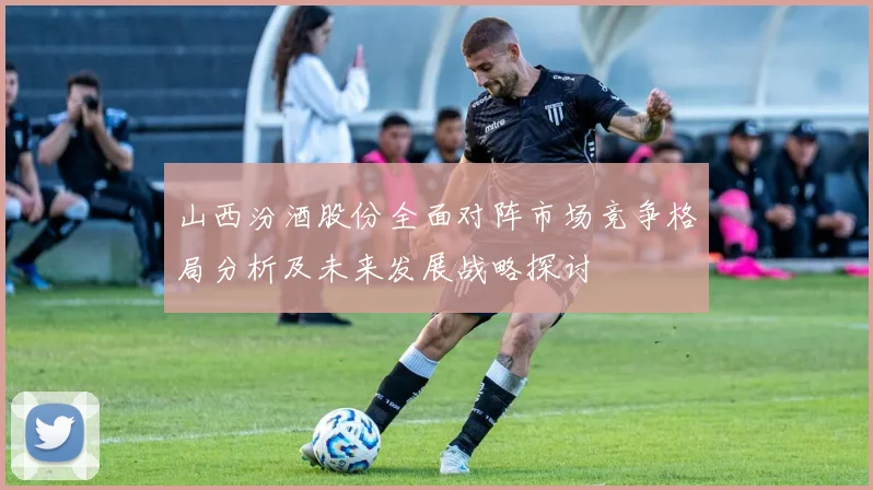 山西汾酒股份全面对阵市场竞争格局分析及未来发展战略探讨