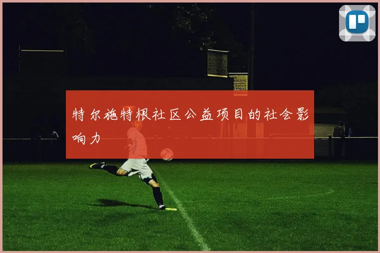 特尔施特根社区公益项目的社会影响力