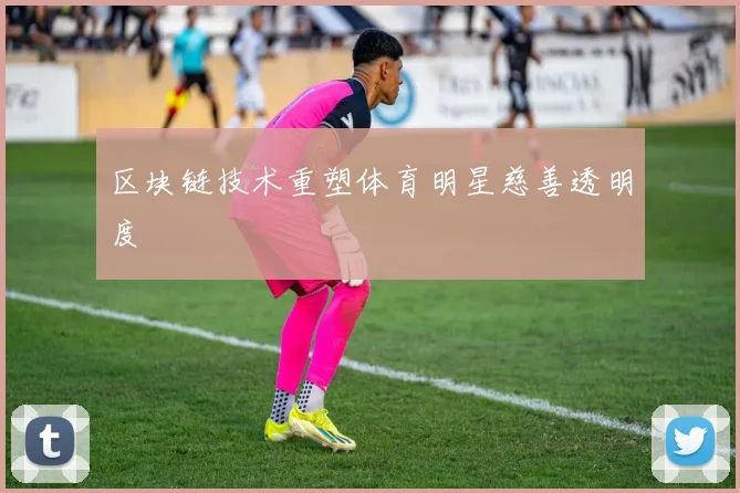 区块链技术重塑体育明星慈善透明度