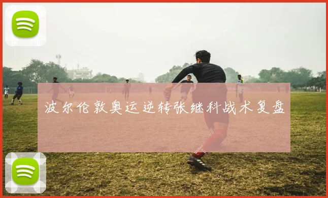 波尔伦敦奥运逆转张继科战术复盘